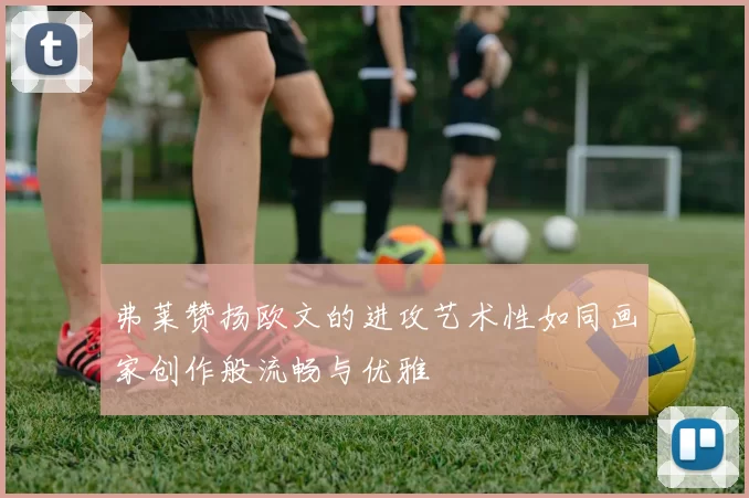 弗莱赞扬欧文的进攻艺术性如同画家创作般流畅与优雅